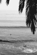 laguna beach surfer