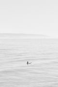 newport beach surfer